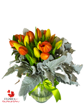 Cargar imagen en el visor de la galería, TULIPANES &quot;FLORICIENTA&quot;
