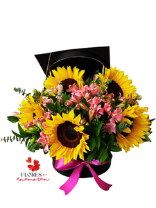 ARREGLO "GRADUACIÓN"