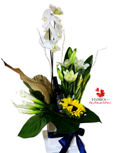 Cargar imagen en el visor de la galería, ARREGLO &quot;ENCANTO&quot;