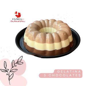 GELATINA DE 3 CHOCOLATES