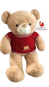 PELUCHE GRANDE “MI MAYOR ANHELO”